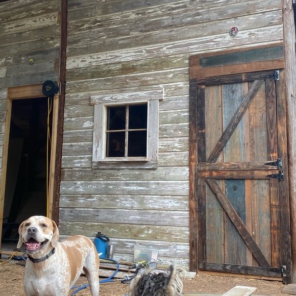 FREE SHIPPING $100+ - Picture 6 of 8